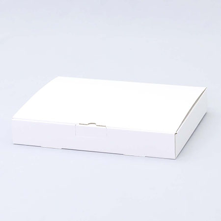 310×230×47(N式差込)(白)-2