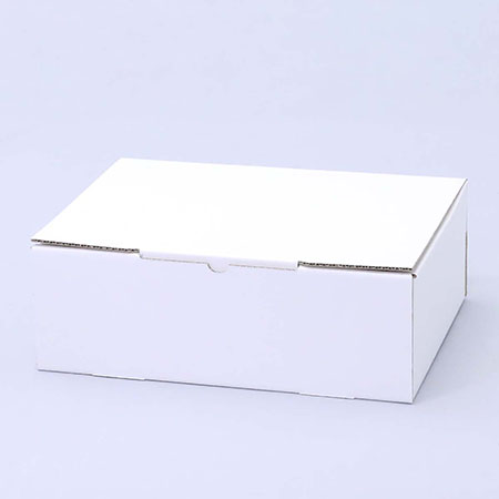 354×252×120(N式差込)(白)-2