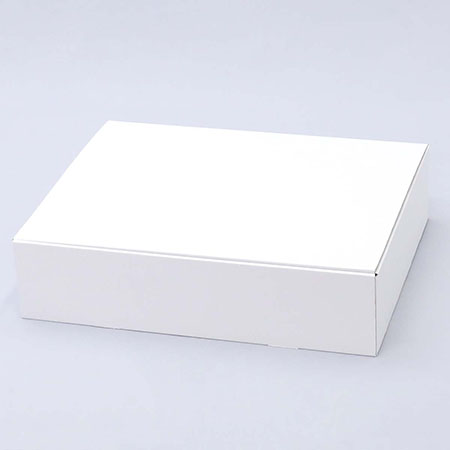 500×380×120(N式差込)(白)-2