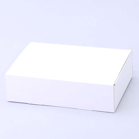 300×205×80(N式差込)(白)-2