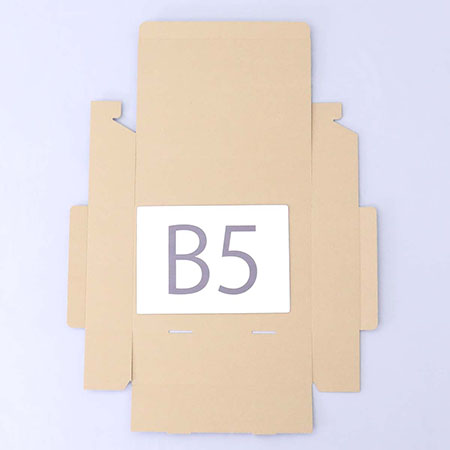 300×205×80(N式差込)(白)-3