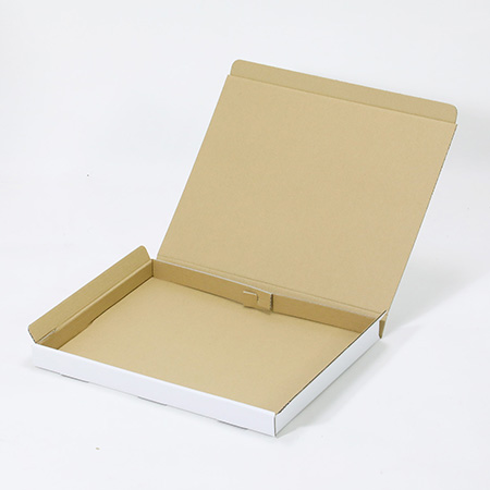 423×331×31(N式差込)(白)-2