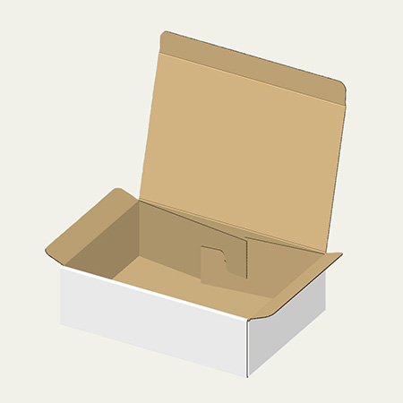 250×172×74(N式差込)(白)-1