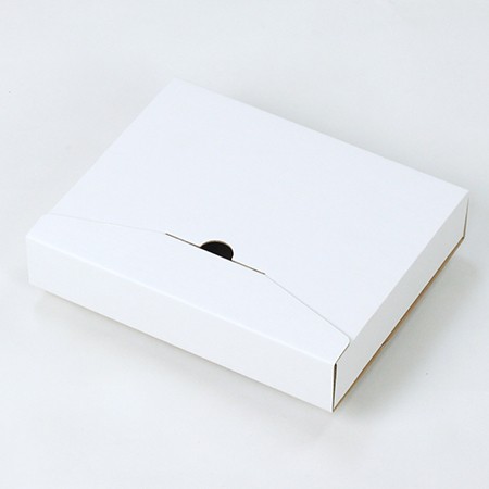 195×160×35(たとう式ロック付)(白)-2