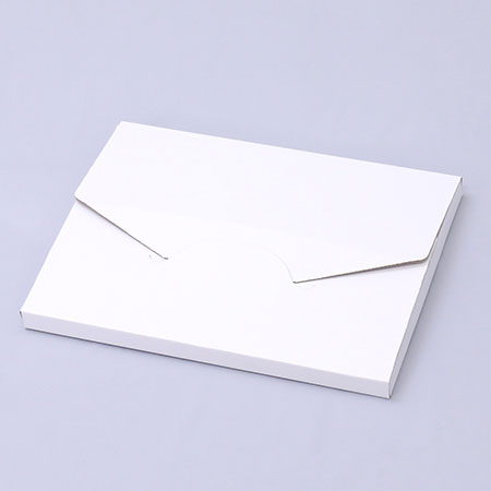 314×235×17(たとう式)(白)-2