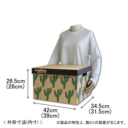 【A4雑誌対応】ダンボール製収納ボックス(サボテン)-2