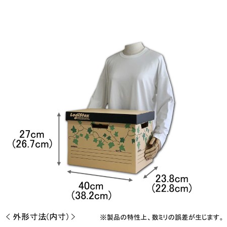 【カラーボックス対応】ダンボール製収納ボックス(アイビー)-2