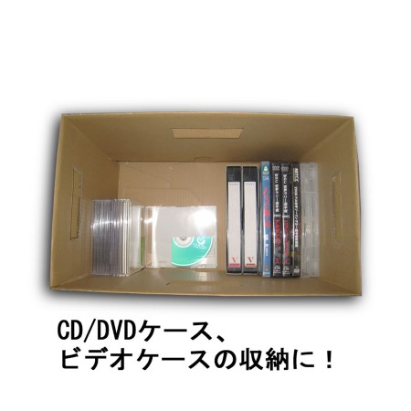 【カラーボックス対応】ダンボール製収納ボックス(アイビー)-5