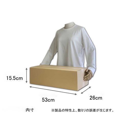 【宅配100サイズ】CD100枚用ダンボール箱(50枚×2列)-2