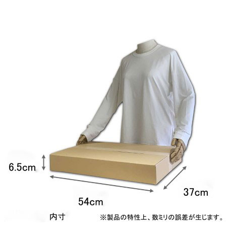 【宅配100サイズ】スーツ発送用 浅型ダンボール箱-2