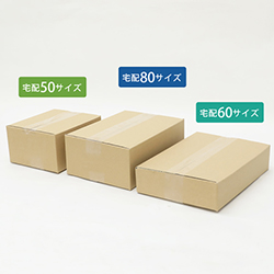 【おためしダンボール箱】定番セットA