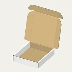 258×305×60mmでN式額縁タイプの箱
