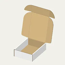 260×355×100mmでN式額縁タイプの箱