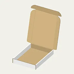 320×450×60mmでN式額縁タイプの箱