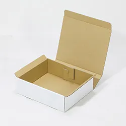 310×250×90mmでN式差込タイプの箱