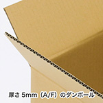 【宅配160サイズ】定番ダンボール箱(EMS対応仕様)-8