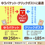 【A4/厚さ2.5cm】定番ダンボール箱(ネコポス対応)-14