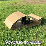 ぐるぐるベルト(小)-5