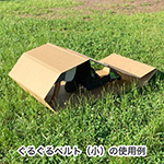 ぐるぐるベルト(大)-6