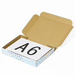 【A6/厚さ3cm】ゆうパケット対応デザインダンボール箱 お花畑(ブルー)-4