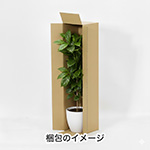 【宅配120サイズ】長物用ダンボール箱 800×180×180-12