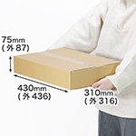 【宅配100サイズ】A3用紙対応 浅型ダンボール箱-1