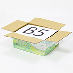 【宅配60サイズ】絵画ダンボール(ゴッホのオーヴェールの緑の麦畑)-6