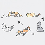 【宅配60サイズ】デザインダンボール(ねこまみれ)-11