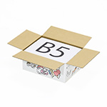 【宅配60サイズ】デザインダンボール(ねこまみれ)-2