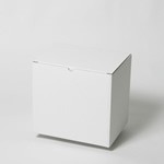 261×194×242(B式ワンタッチ)(白)-2