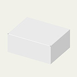 300×240×130(N式額縁)(白)-2