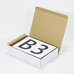 550×380×139(N式差込)(白)-1