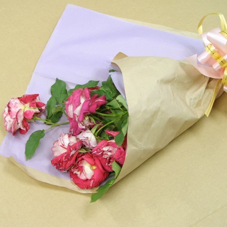 色薄葉紙(バイオレット)-4