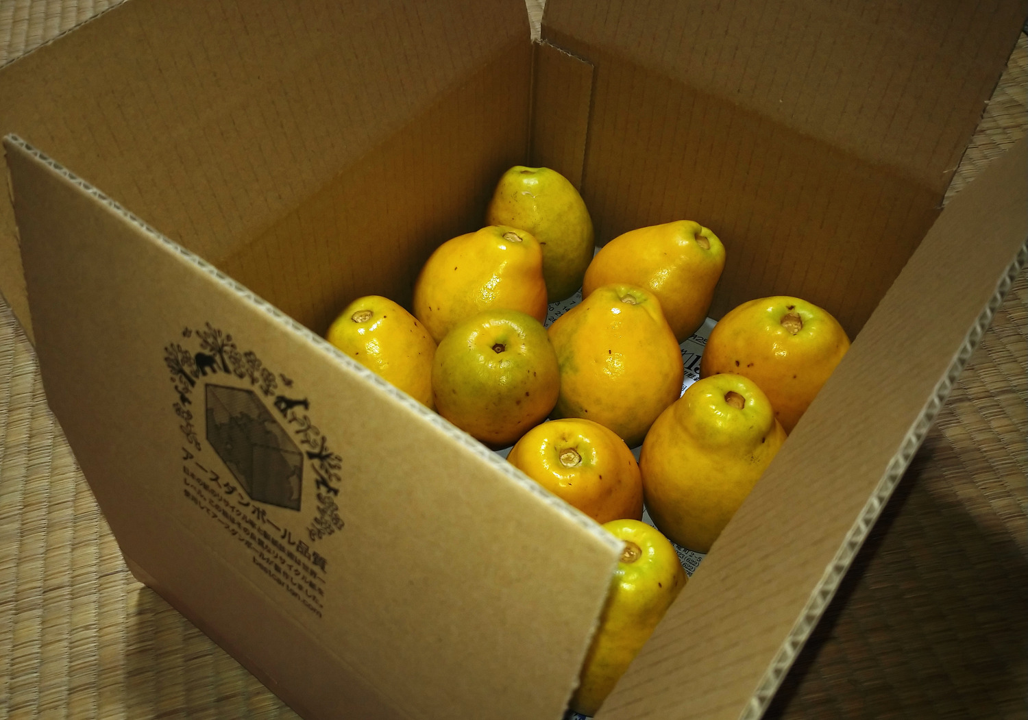 お客様の使用例