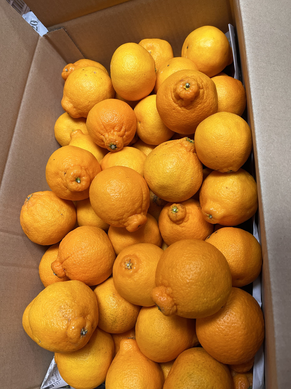 お客様の使用例